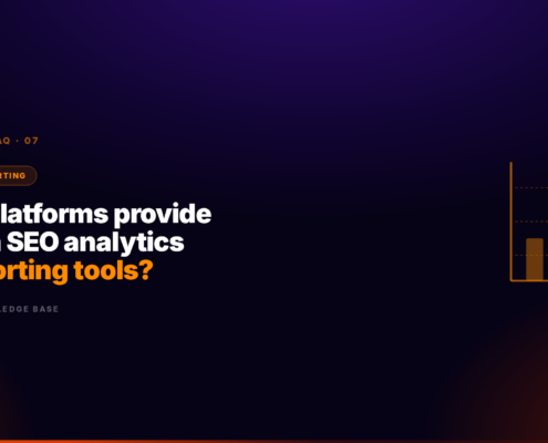 Which platforms provide Amazon SEO analytics and reporting tools?